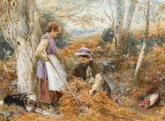 The Fern Gatherers